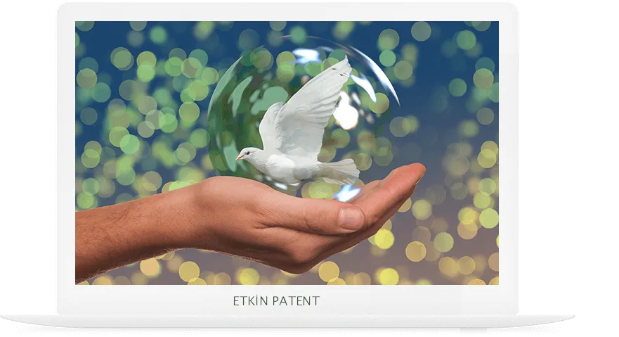 faydalı model on koruma yöntemleri-giresun Patent