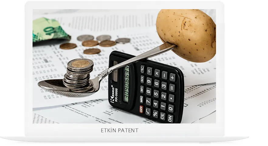 finansal davranışlara dair kombinasyon modeller-giresun Patent